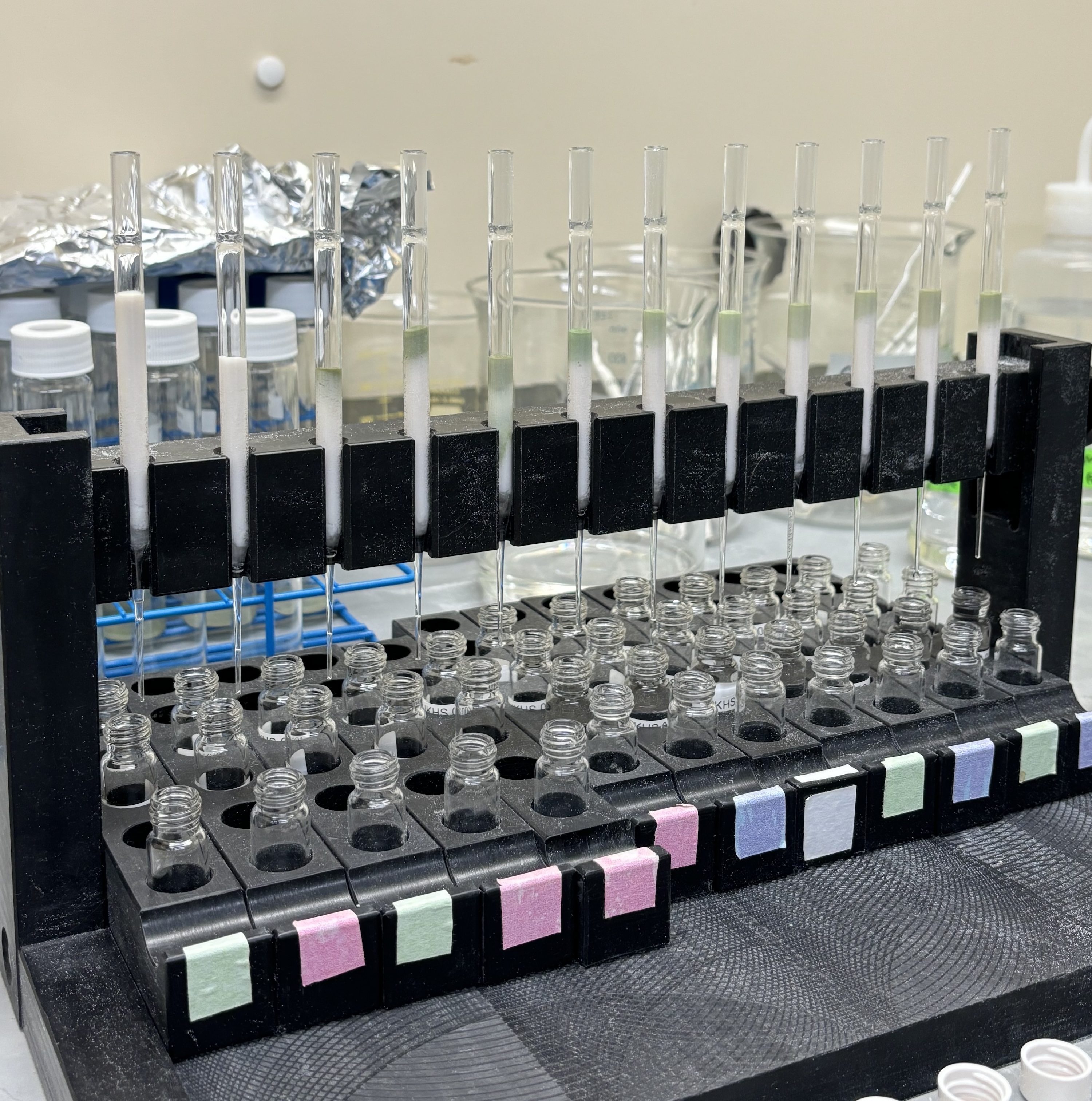 Lab Activity